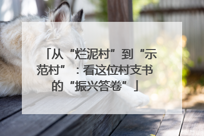 从“烂泥村”到“示范村”：看这位村支书的“振兴答卷”