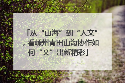 从“山海”到“人文”，看嵊州青田山海协作如何“文”出新精彩