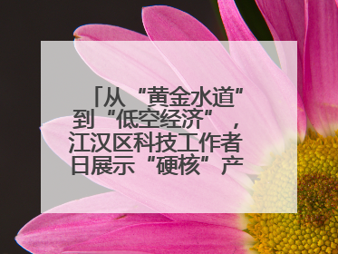 从“黄金水道”到“低空经济”，江汉区科技工作者日展示“硬核”产业答卷