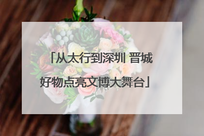 从太行到深圳 晋城好物点亮文博大舞台