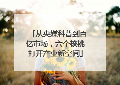 从央媒科普到百亿市场，六个核桃打开产业新空间