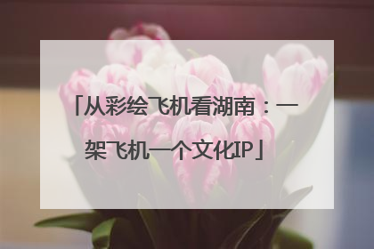 从彩绘飞机看湖南：一架飞机一个文化IP
