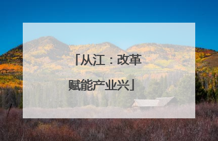 从江：改革赋能产业兴
