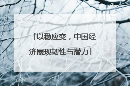 以稳应变，中国经济展现韧性与潜力