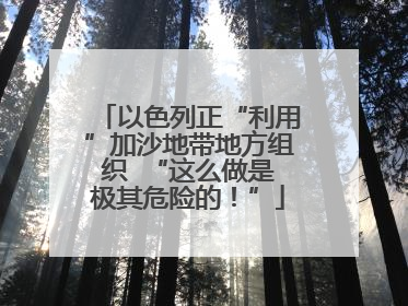 以色列正“利用”加沙地带地方组织  “这么做是极其危险的！”
