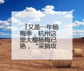 又是一年杨梅季，杭州这里大棚杨梅已熟，“采摘攻略”来了
