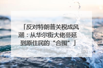 反对特朗普关税成风潮：从华尔街大佬蔓延到原住民的“合围”