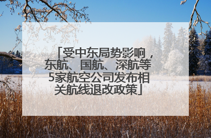 受中东局势影响，东航、国航、深航等5家航空公司发布相关航线退改政策