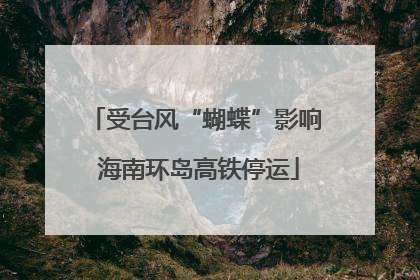 受台风“蝴蝶”影响 海南环岛高铁停运