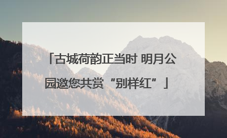 古城荷韵正当时 明月公园邀您共赏“别样红”