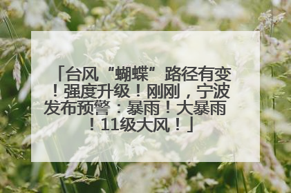 台风“蝴蝶”路径有变！强度升级！刚刚，宁波发布预警：暴雨！大暴雨！11级大风！