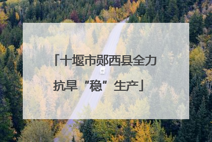 十堰市郧西县全力抗旱“稳”生产