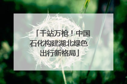 千站万枪！中国石化构建湖北绿色出行新格局
