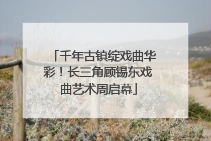 千年古镇绽戏曲华彩！长三角顾锡东戏曲艺术周启幕