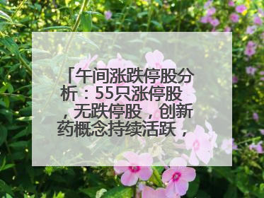 午间涨跌停股分析：55只涨停股，无跌停股，创新药概念持续活跃，昂利康6天4板，众生药业2连板