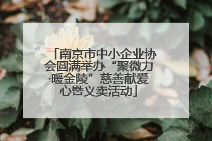 南京市中小企业协会圆满举办“聚微力·暖金陵”慈善献爱心暨义卖活动