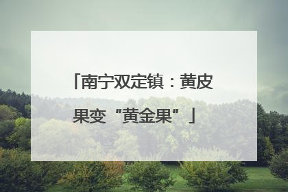 南宁双定镇：黄皮果变“黄金果”