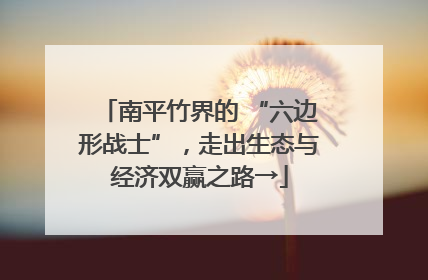 南平竹界的 “六边形战士”，走出生态与经济双赢之路→