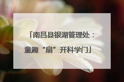 南昌县银湖管理处：童趣“扇”开科学门