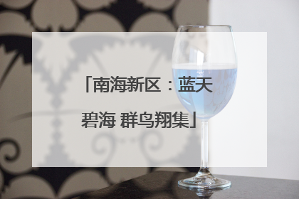南海新区：蓝天碧海 群鸟翔集