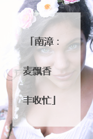 南漳：麦飘香 丰收忙