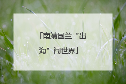 南靖国兰“出海”闯世界