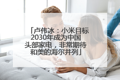 卢伟冰：小米目标2030年成为中国头部家电，非常期待和美的海尔并列