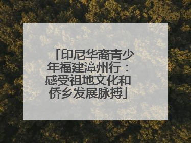 印尼华裔青少年福建漳州行：感受祖地文化和侨乡发展脉搏