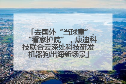 去国外“当球童”、“看家护院”，康迪科技联合云深处科技研发机器狗出海新场景