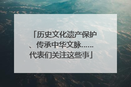 历史文化遗产保护、传承中华文脉……代表们关注这些事