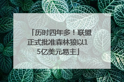 历时四年多！联盟正式批准森林狼以15亿美元易主