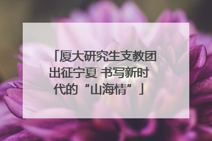 厦大研究生支教团出征宁夏 书写新时代的“山海情”