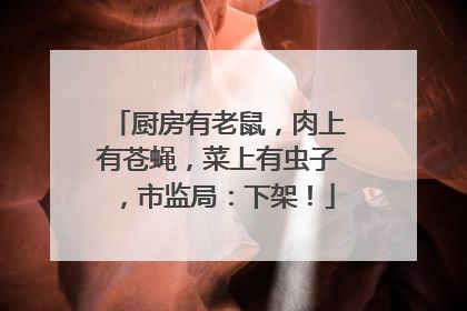 厨房有老鼠，肉上有苍蝇，菜上有虫子，市监局：下架！