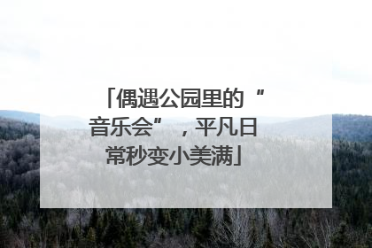 偶遇公园里的“音乐会”，平凡日常秒变小美满