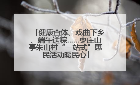 健康查体、戏曲下乡、端午送粽……枣庄山亭朱山村“一站式”惠民活动暖民心