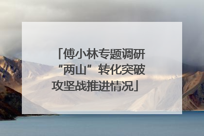 傅小林专题调研“两山”转化突破攻坚战推进情况