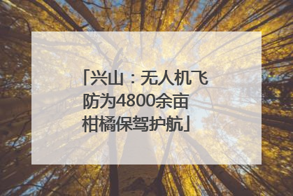 兴山：无人机飞防为4800余亩柑橘保驾护航