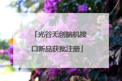 光谷无创脑机接口新品获批注册