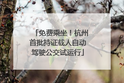 免费乘坐！杭州首批持证载人自动驾驶公交试运行