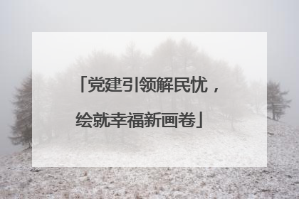 党建引领解民忧，绘就幸福新画卷