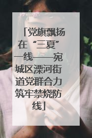 党旗飘扬在“三夏”一线——宛城区溧河街道党群合力筑牢禁烧防线