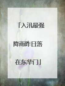 入汛最强降雨昨日落在东华门