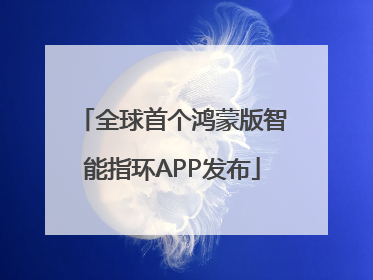 全球首个鸿蒙版智能指环APP发布