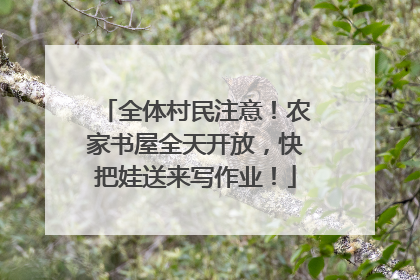 全体村民注意！农家书屋全天开放，快把娃送来写作业！