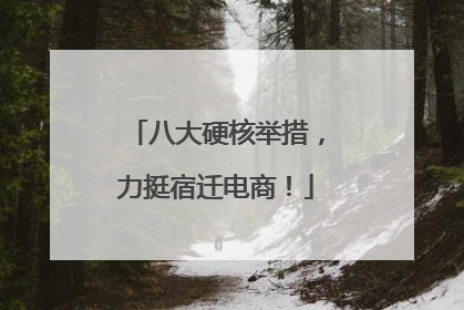 八大硬核举措，力挺宿迁电商！