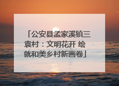 公安县孟家溪镇三袁村：文明花开 绘就和美乡村新画卷