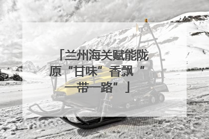 兰州海关赋能陇原“甘味”香飘“一带一路”