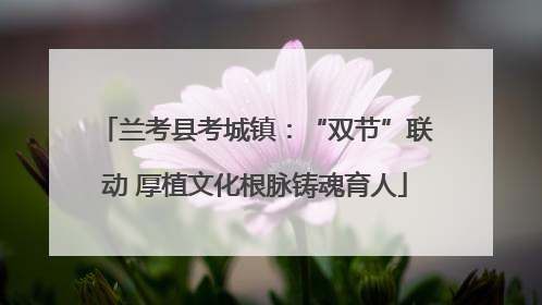 兰考县考城镇：“双节”联动 厚植文化根脉铸魂育人