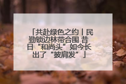 共赴绿色之约丨民勤锁边林带合围 昔日“和尚头”如今长出了“披肩发”