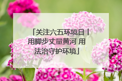 关注六五环境日丨用脚步丈量黄河 用法治守护环境